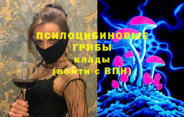 а пвп мука Верея