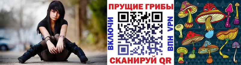 Галлюциногенные грибы Psilocybe  Зеленогорск 